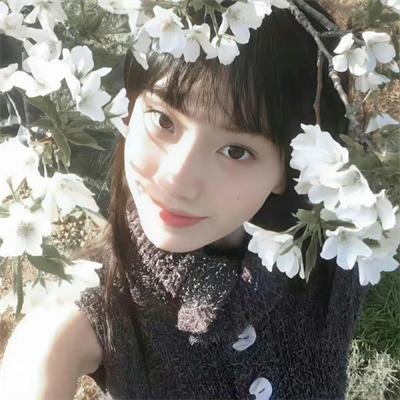 寻物少女